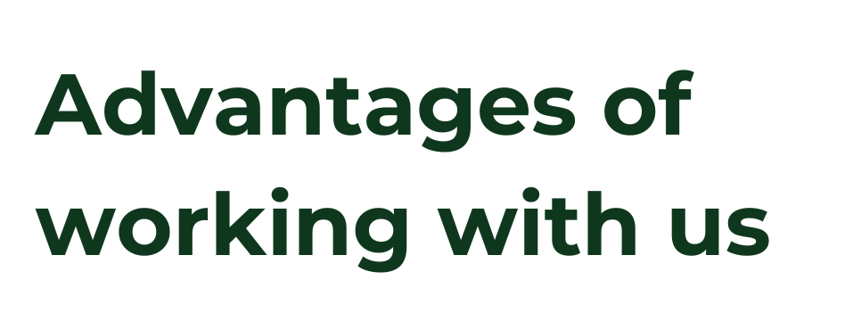 Advantages of working with us